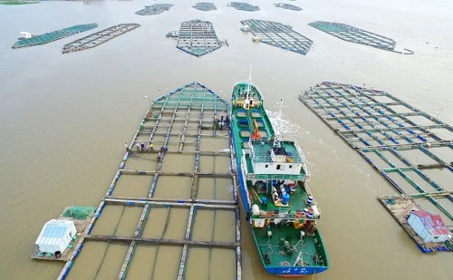 溫嶺市水產(chǎn)技術(shù)推廣站榮獲首批全國(guó)星級(jí)基層推廣機(jī)構(gòu)稱號(hào)